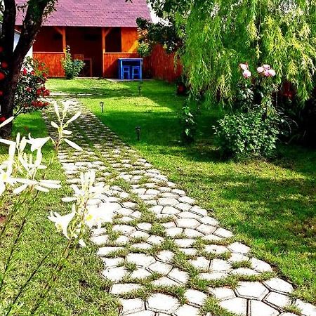 Casa Pavel Jurilovca Villa Exterior photo
