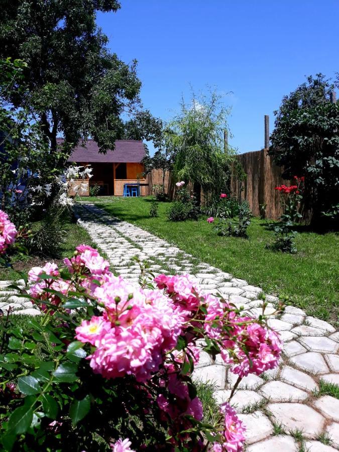 Casa Pavel Jurilovca Villa Exterior photo
