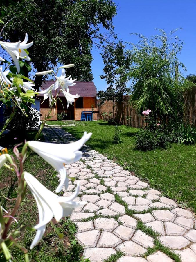 Casa Pavel Jurilovca Villa Exterior photo